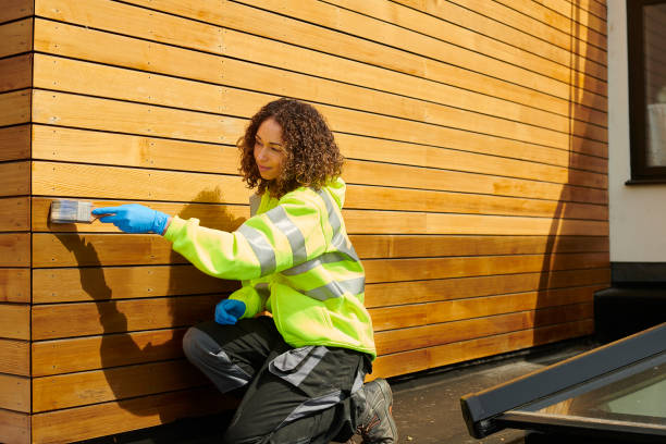 Best Vinyl Siding Installation  in Wayne, WV